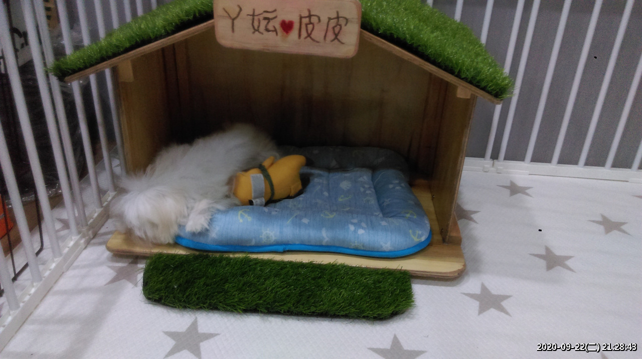 //59-126-75-42.hinet-ip.hinet.net/photo/small.php?w_size=1280&compassion=95&file_name=users/shadow/1600783921_2.jpg&noshow=1&height=400