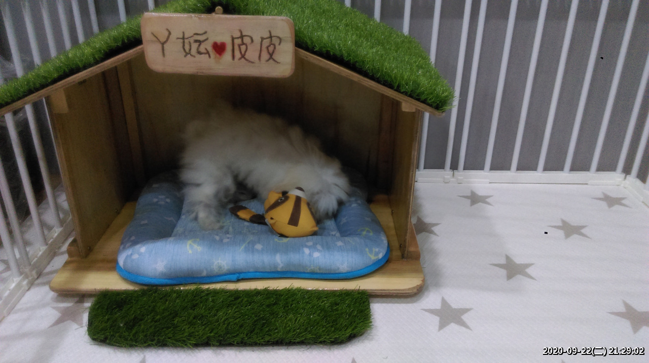 //59-126-75-42.hinet-ip.hinet.net/photo/small.php?w_size=1280&compassion=95&file_name=users/shadow/1600783923_4.jpg&noshow=1&height=400