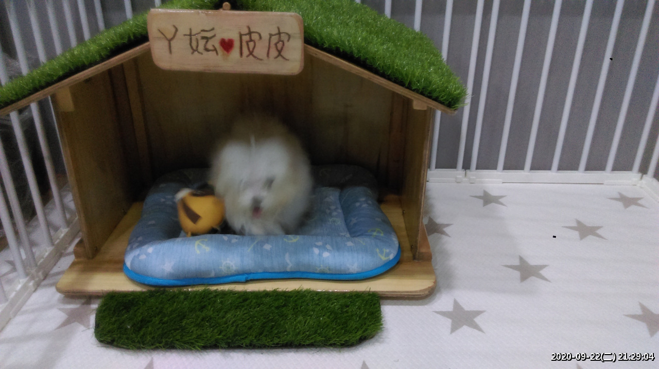 //59-126-75-42.hinet-ip.hinet.net/photo/small.php?w_size=1280&compassion=95&file_name=users/shadow/1600783923_5.jpg&noshow=1&height=400