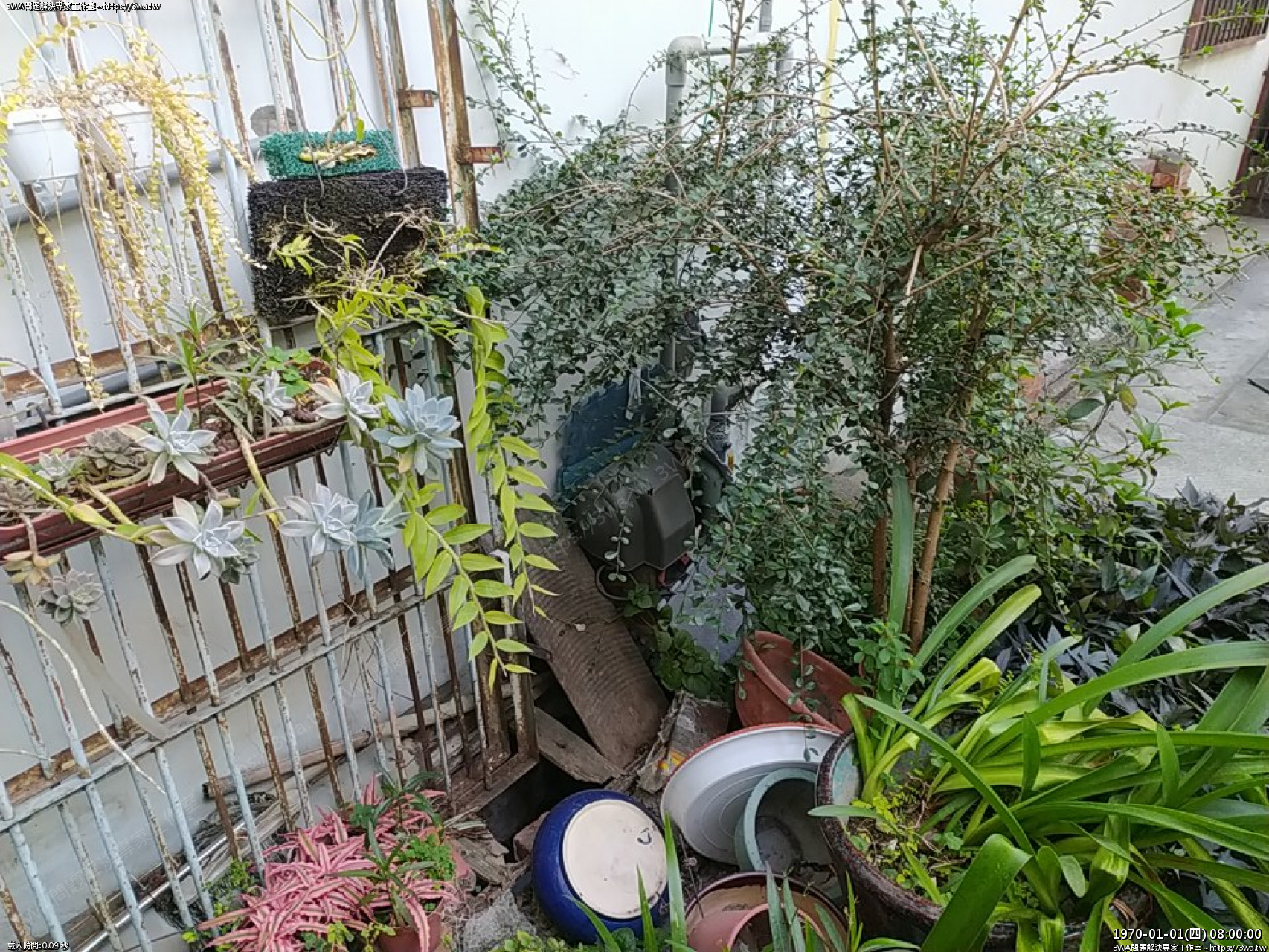 //59-126-75-42.hinet-ip.hinet.net/photo/small.php?w_size=1280&compassion=95&file_name=users/shadow/1674296618.jpg&rotate=90