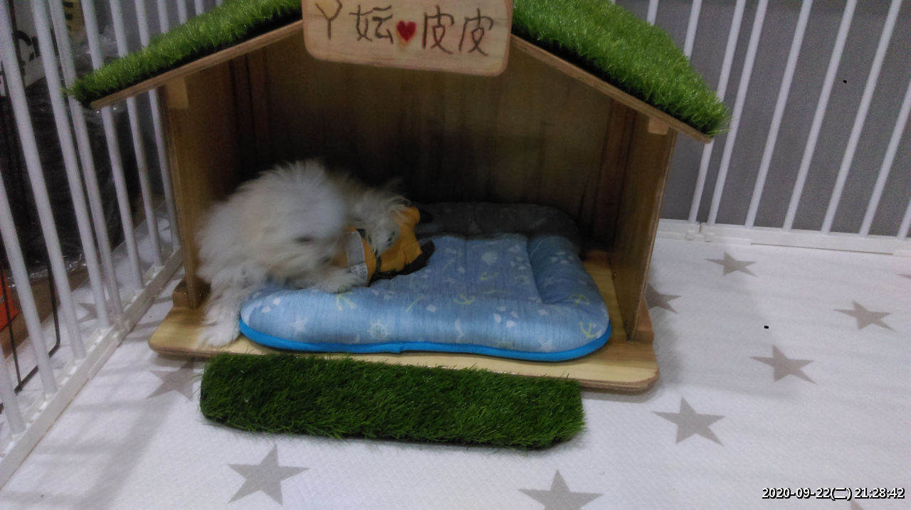 //59-126-75-42.hinet-ip.hinet.net/photo/small.php?w_size=1280&compassion=95&file_name=users/shadow/1600783919_1.jpg&noshow=1&height=400